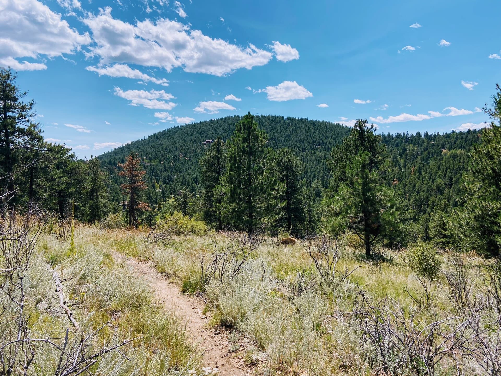 Colorado, USA