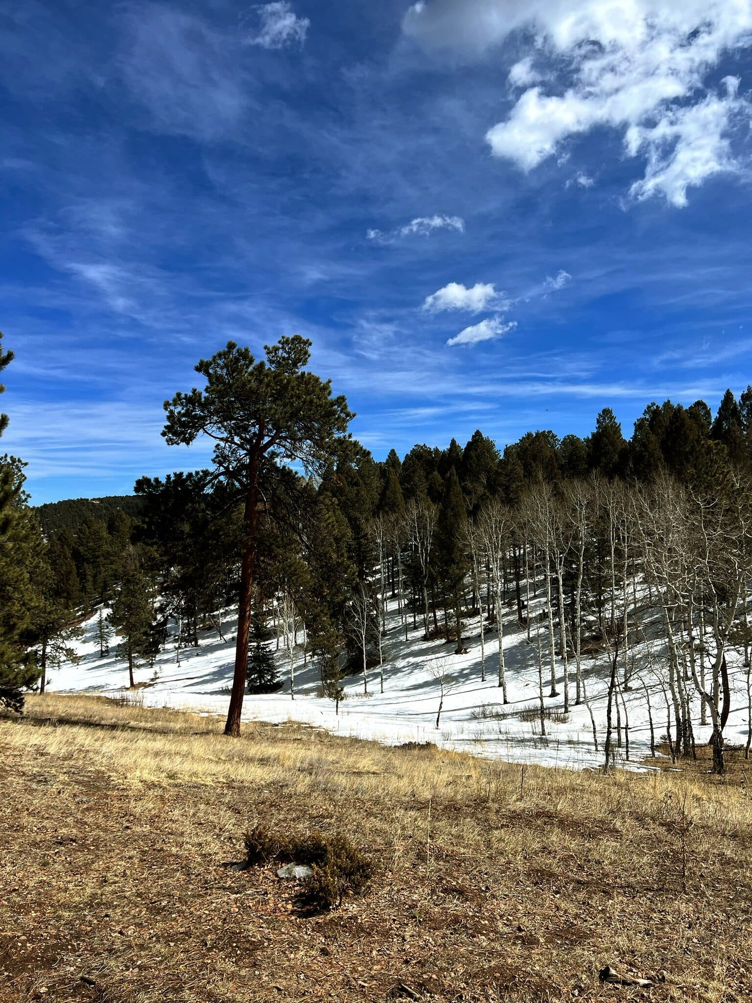 Colorado, USA