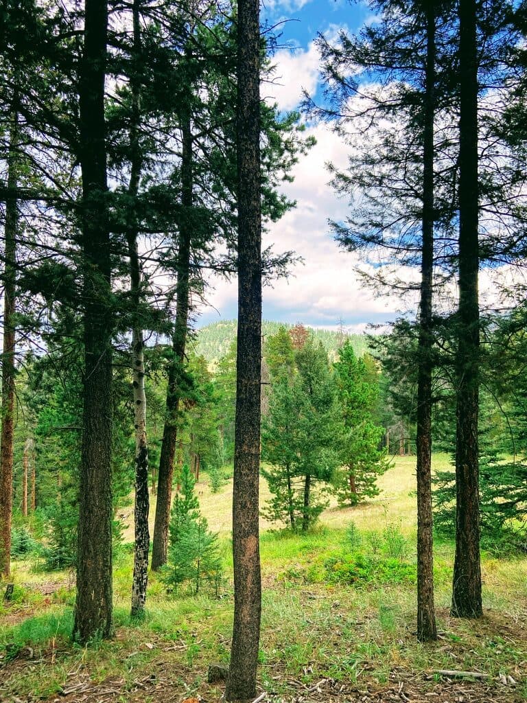 Colorado, USA