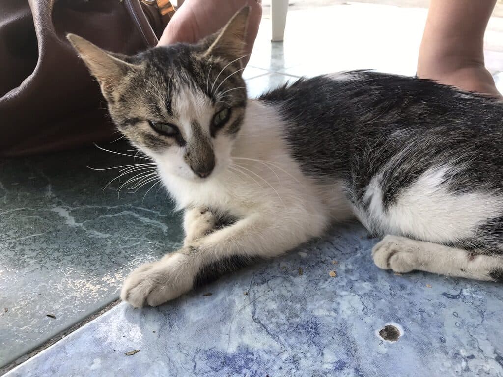 Cuba