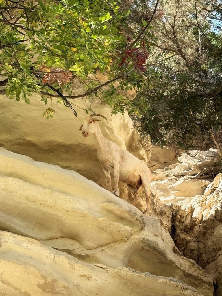 Cyprus