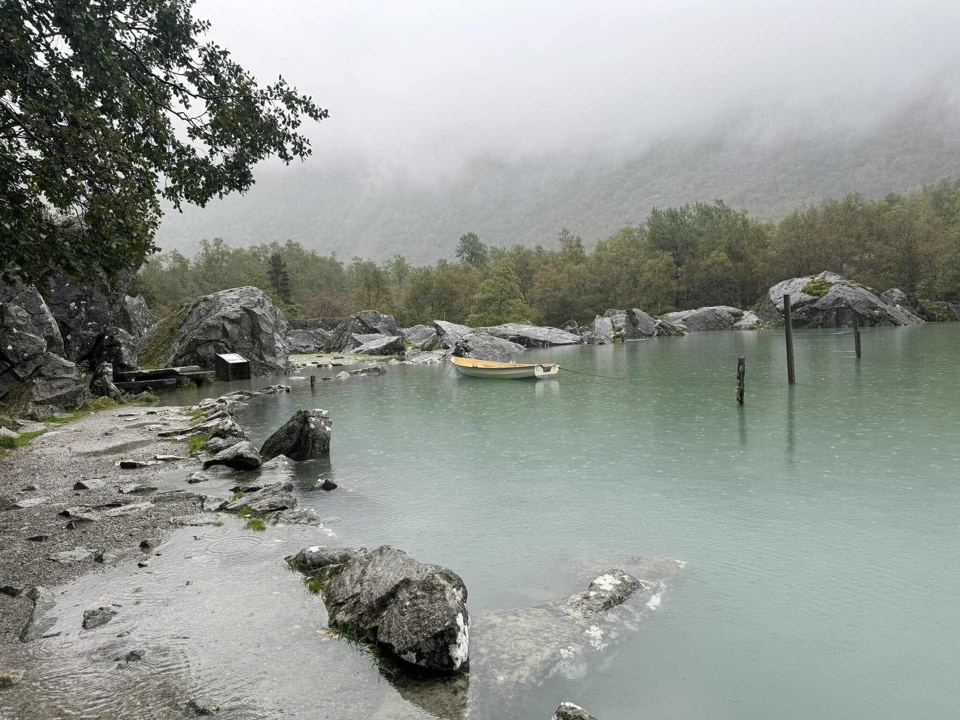 Norwegian Fjords