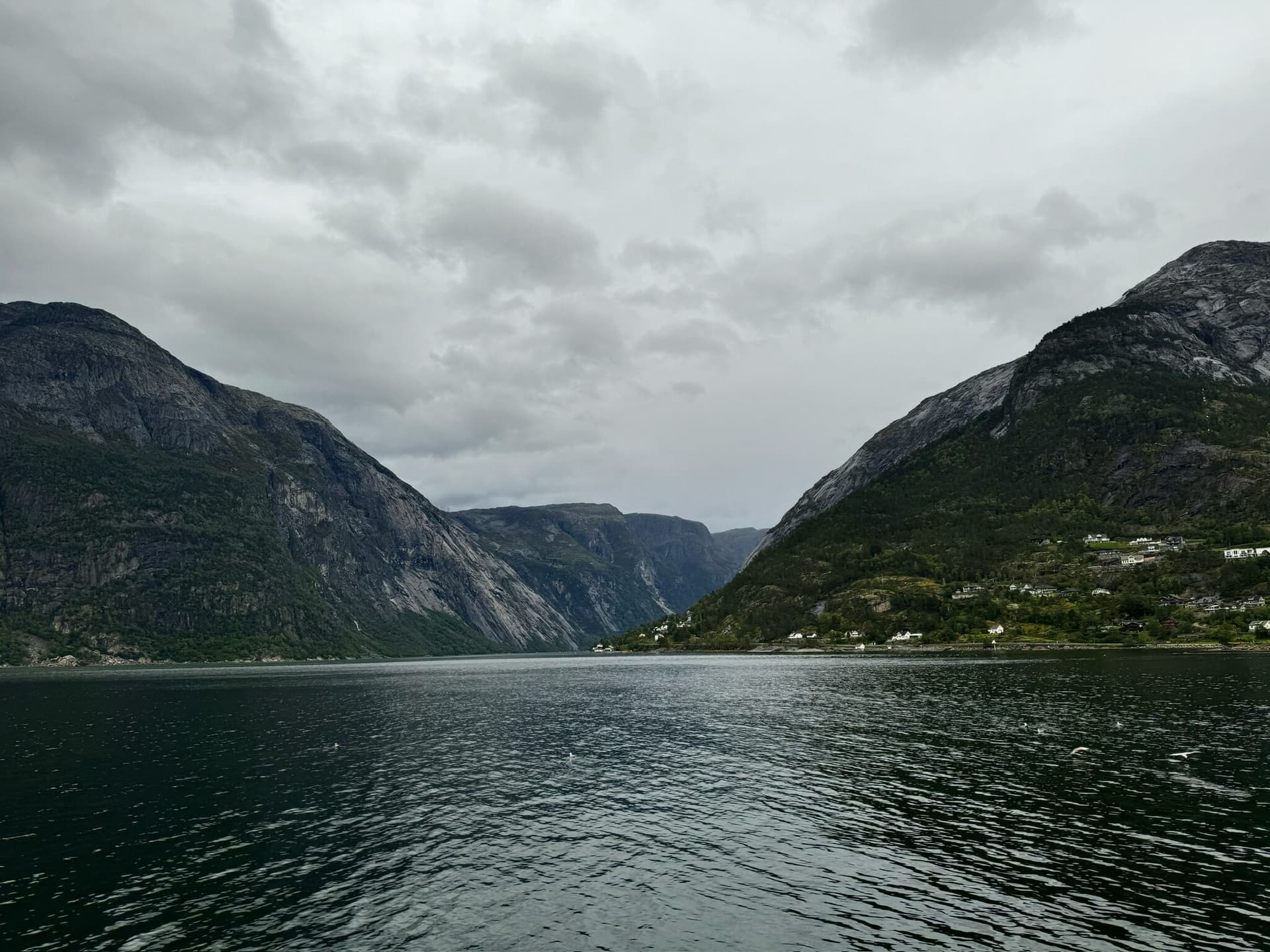 Norwegian Fjords
