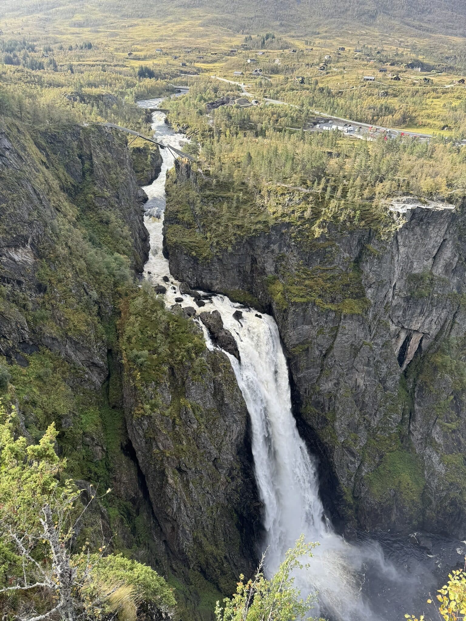 Norwegian Fjords