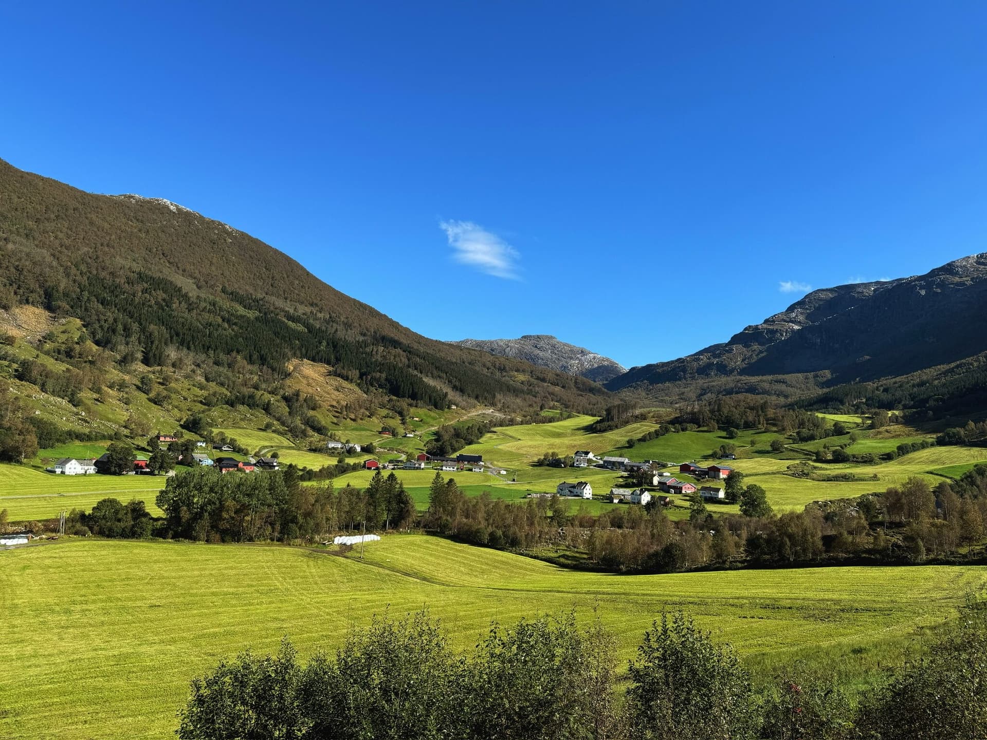 Norwegian Fjords