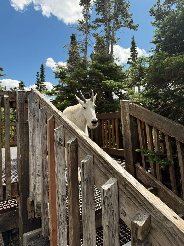 Glacier National Park, USA
