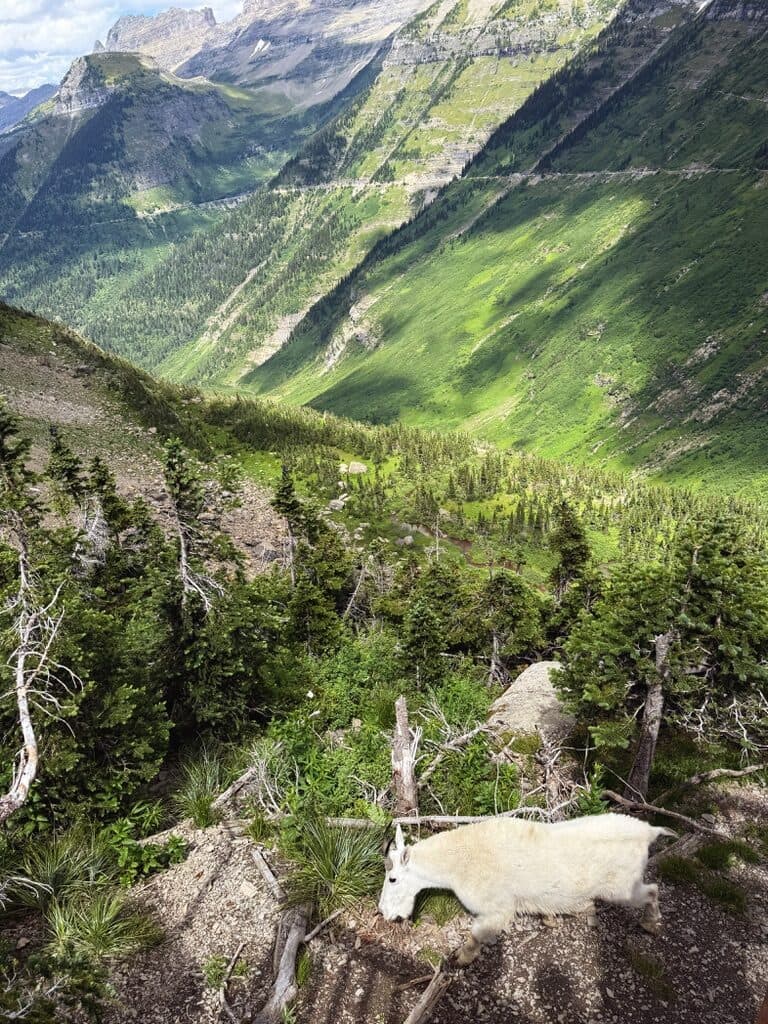 Glacier National Park, USA