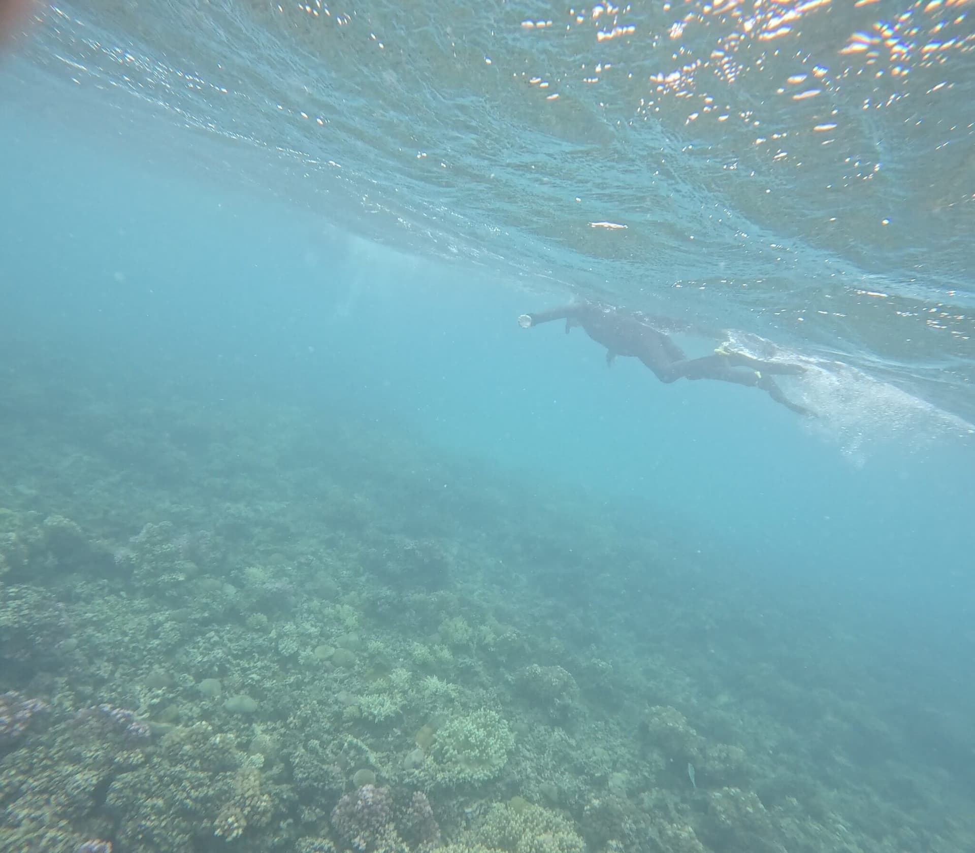 Great Barrier Reef, Australia