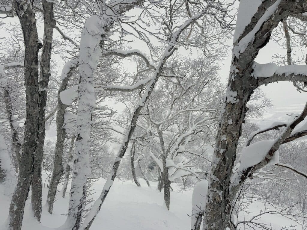 Hokkaido, Japan