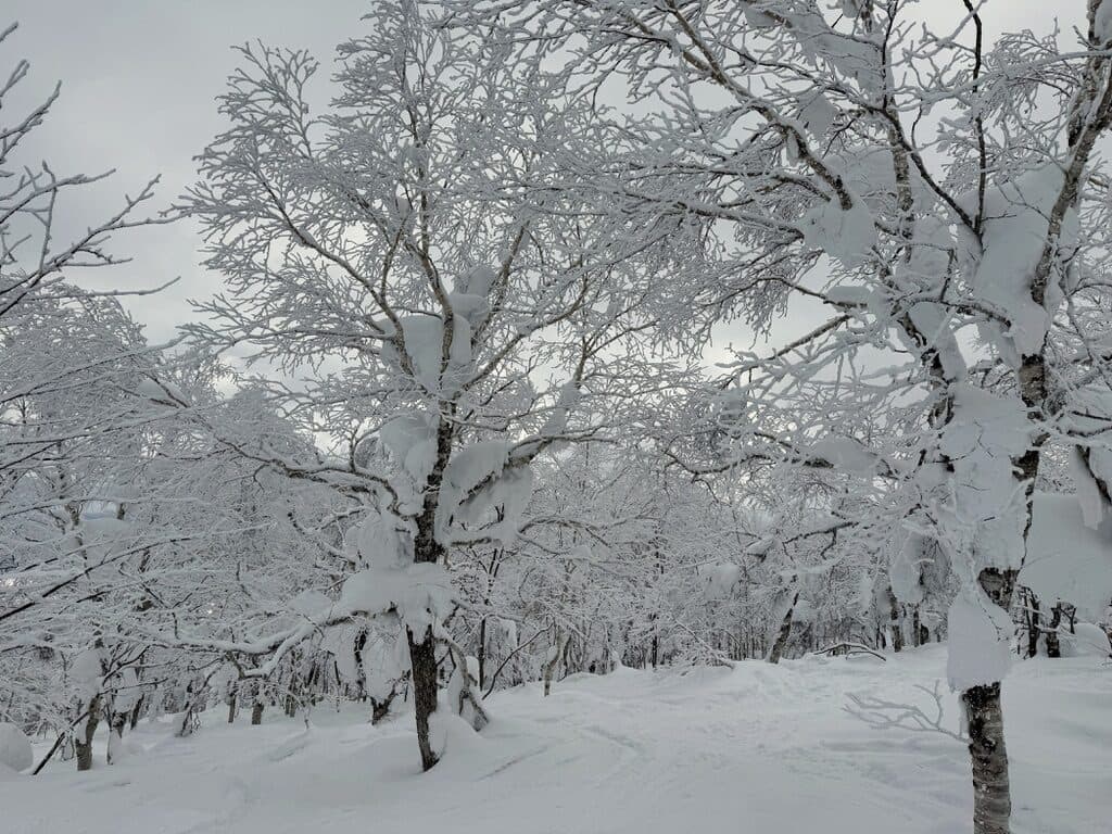 Hokkaido, Japan