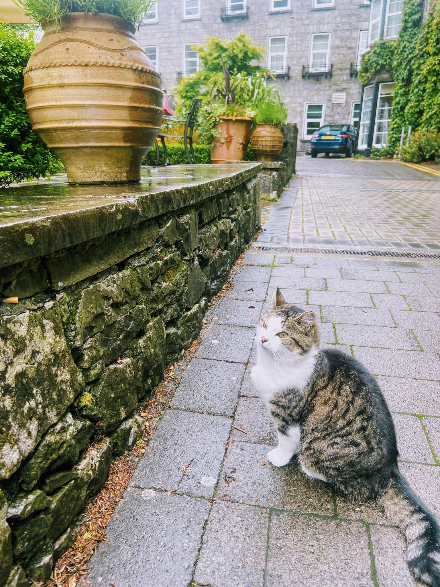 Ireland