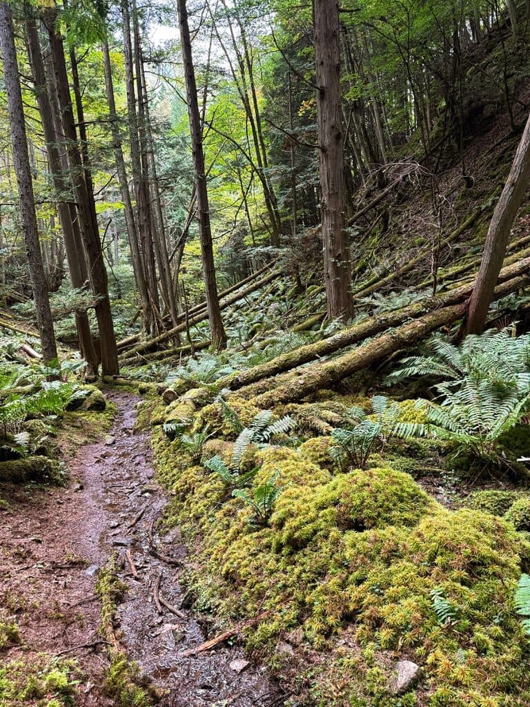Japanese Alps