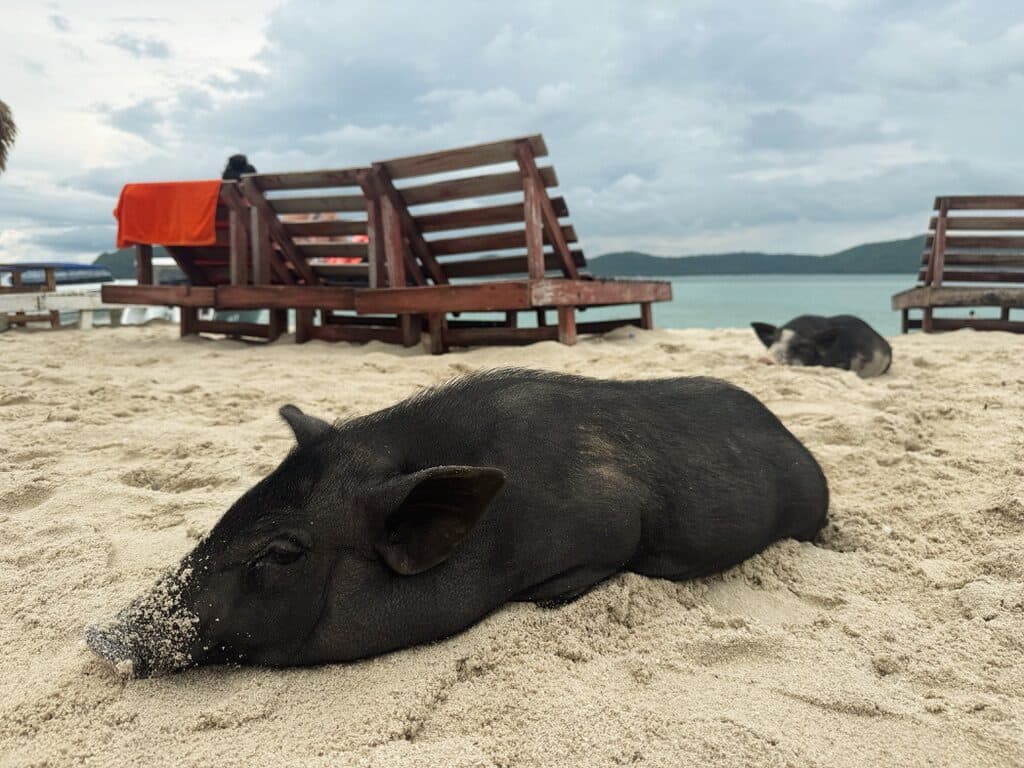 Koh Islands, Thailand
