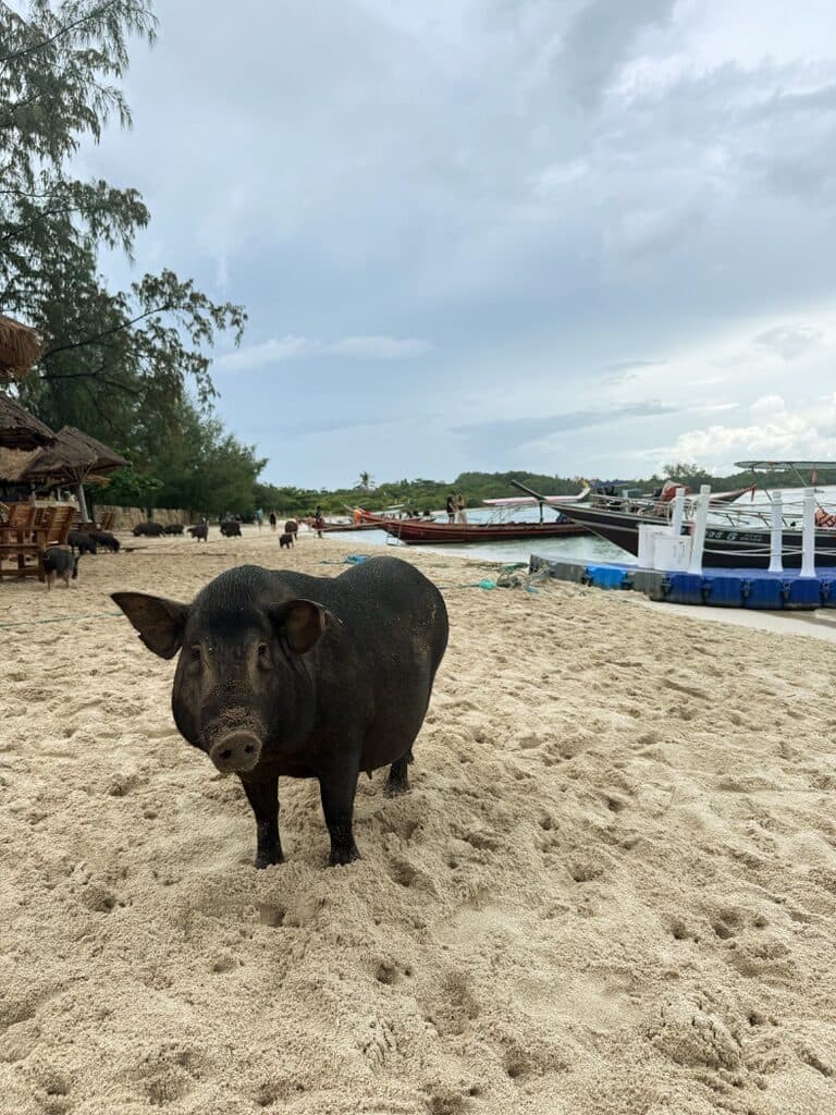 Koh Islands, Thailand