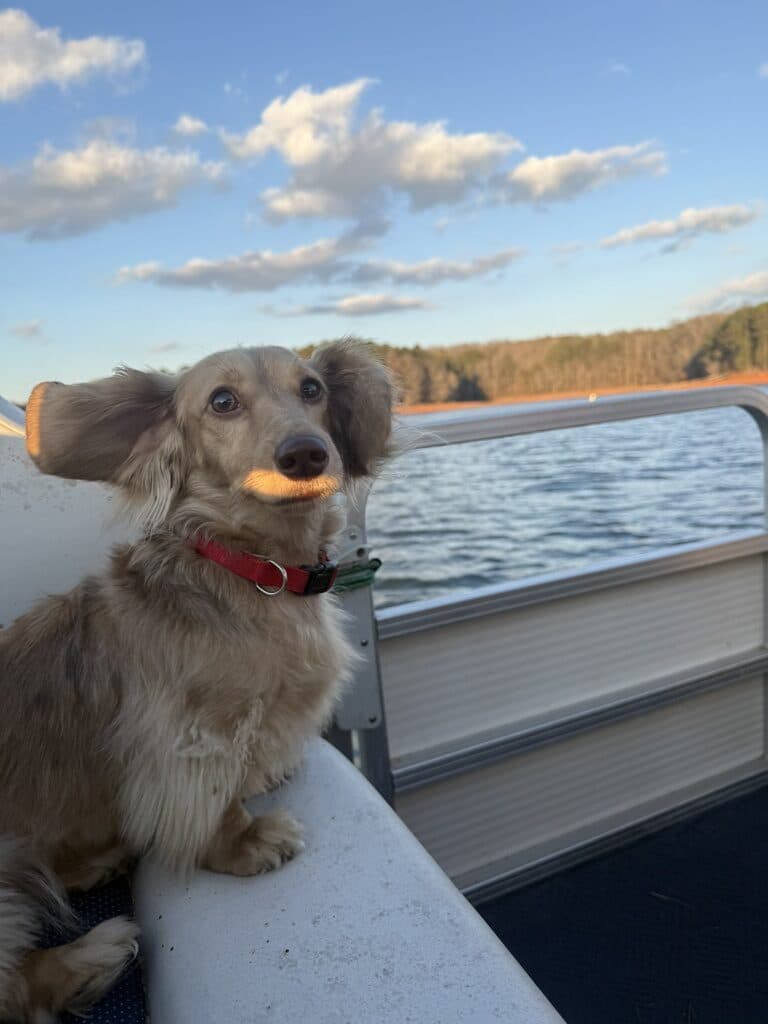 Lake Hartwell, USA