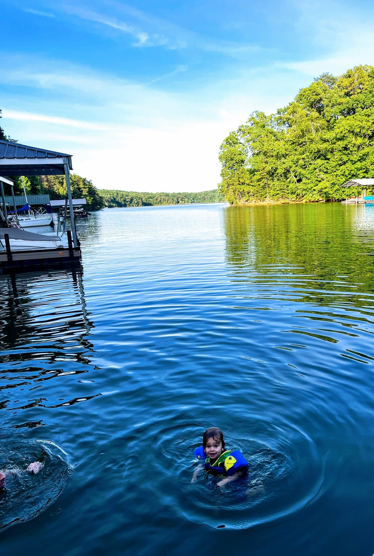 Lake Hartwell, USA