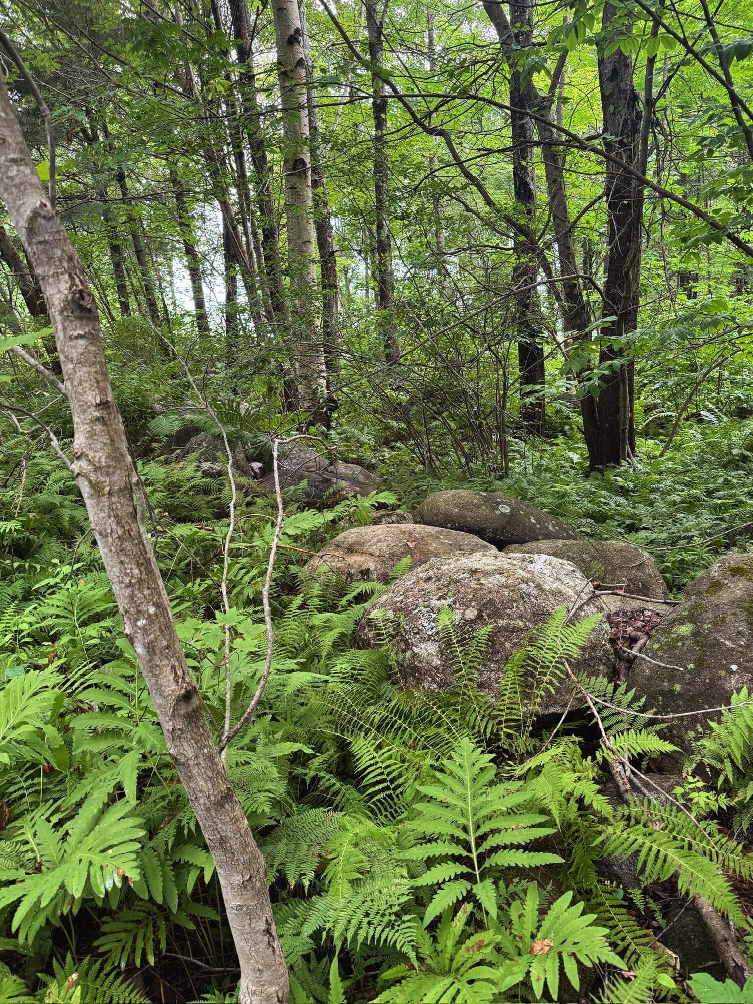 Maine, USA