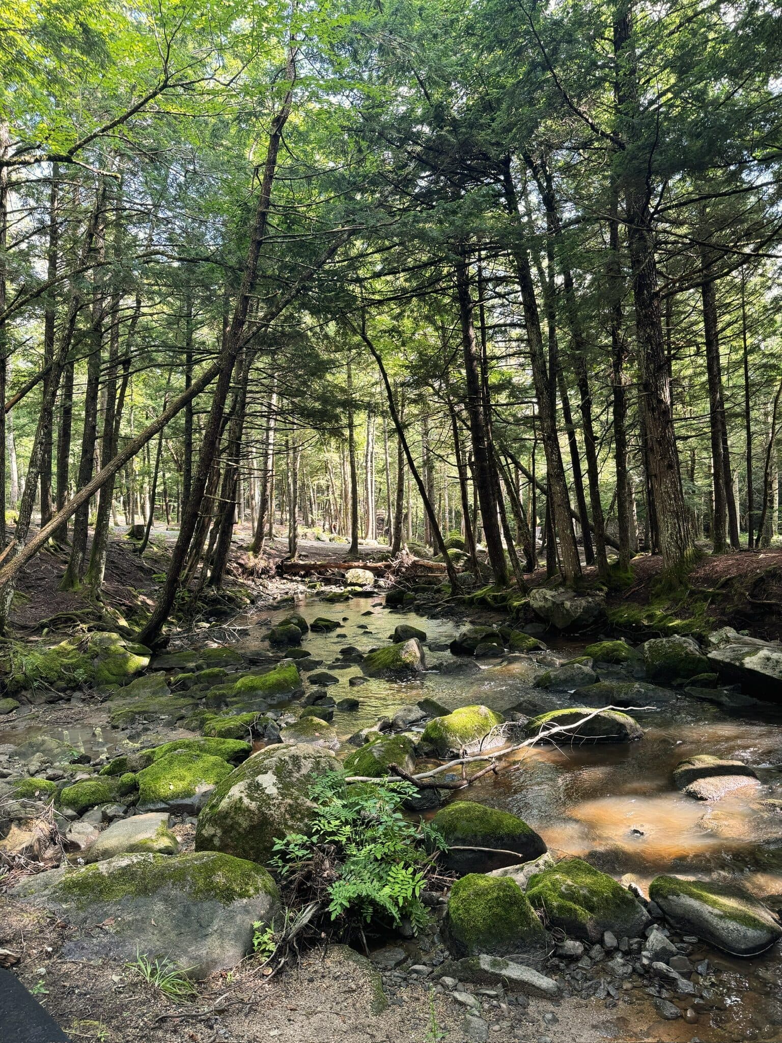 Maine, USA