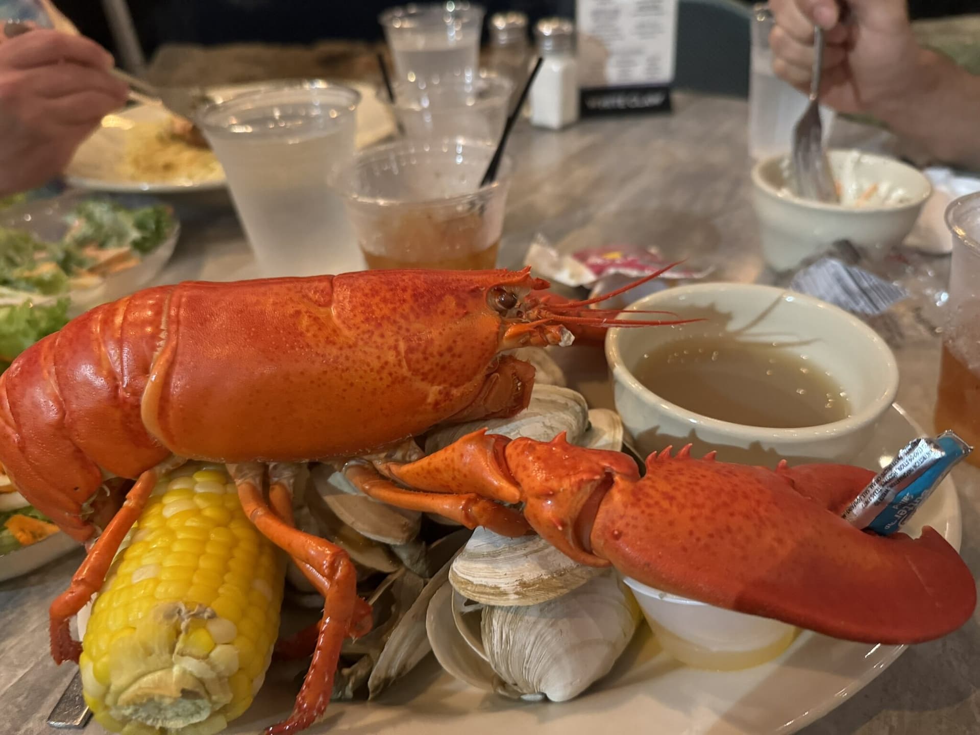 Maine, USA