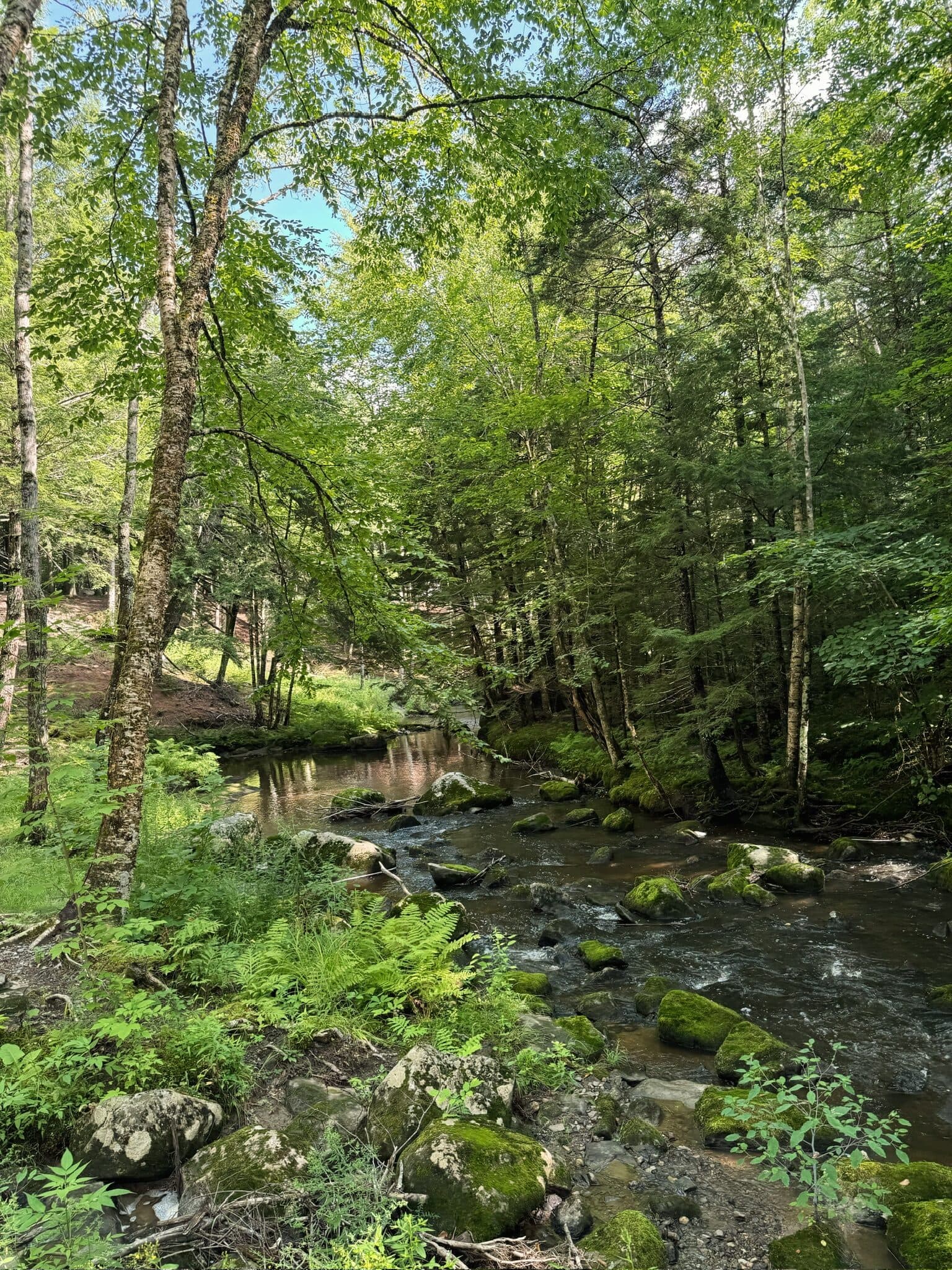 Maine, USA