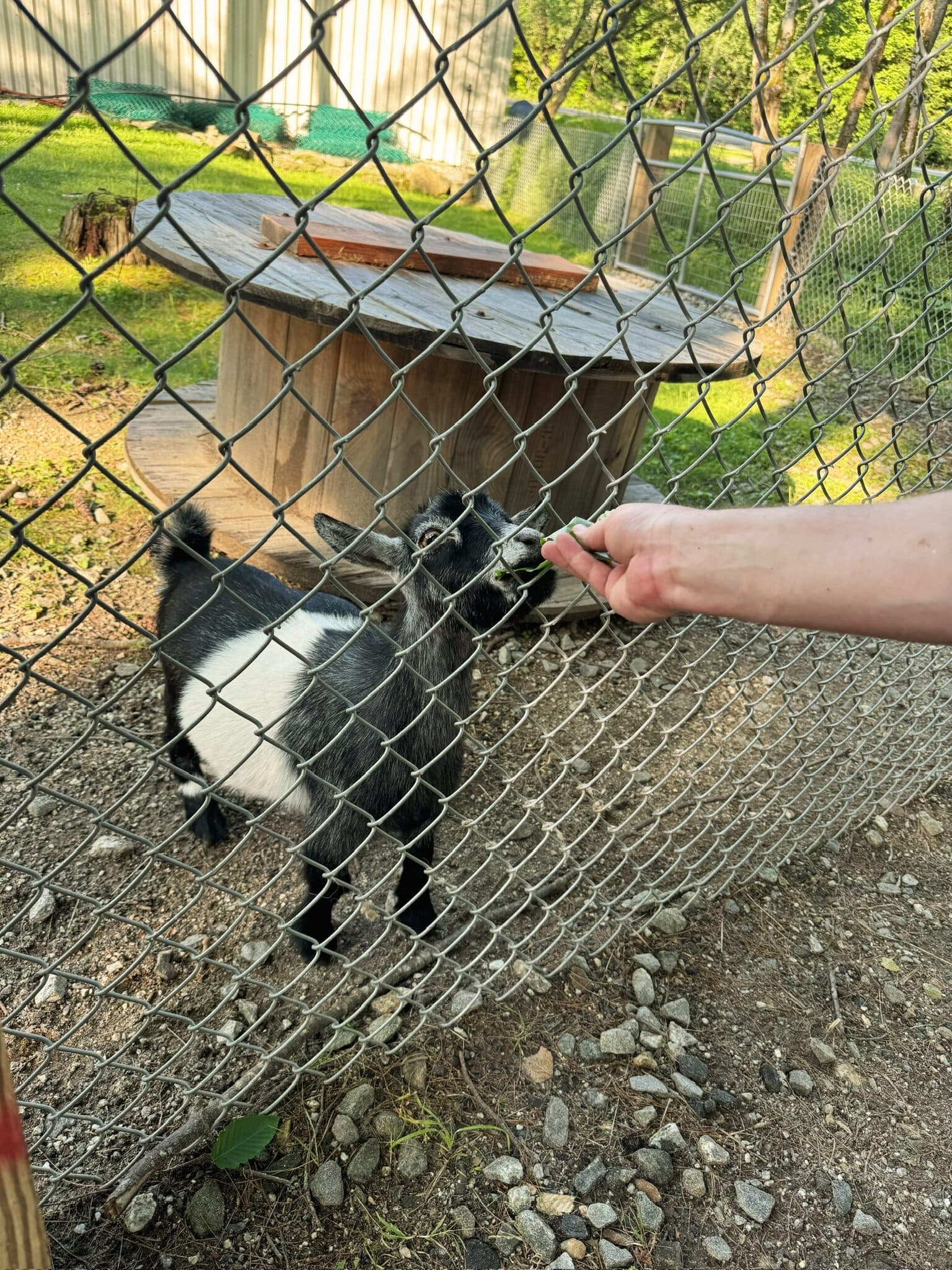 Maine, USA