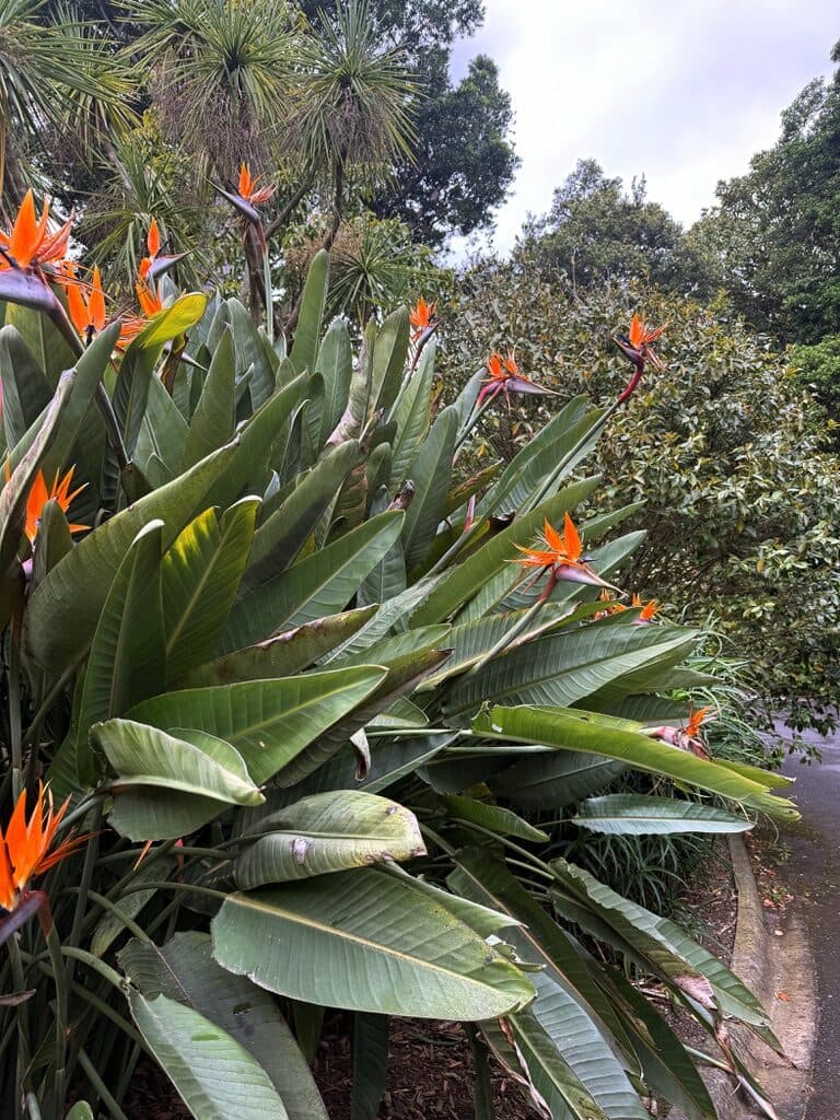 Melbourne, Australia