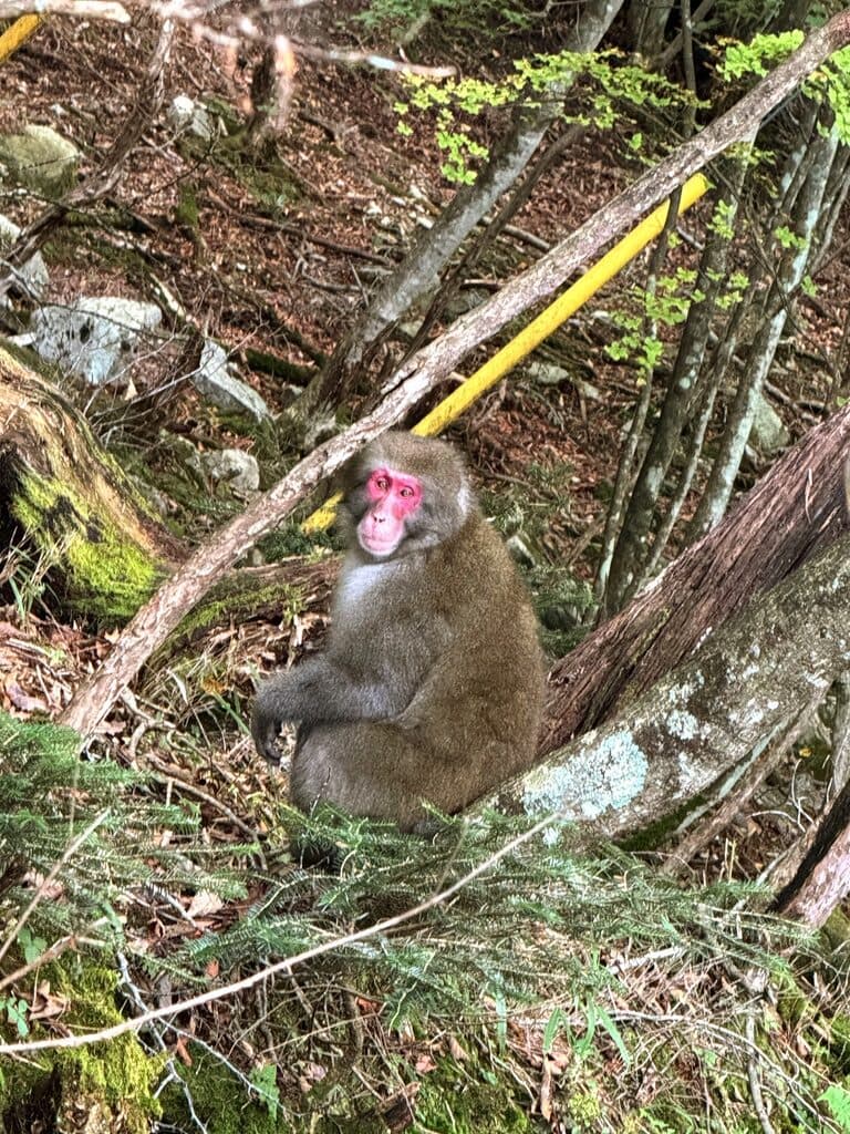 Nikko, Japan