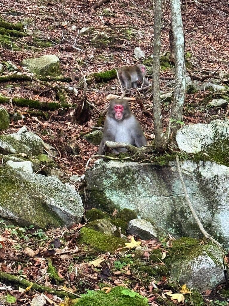 Nikko, Japan