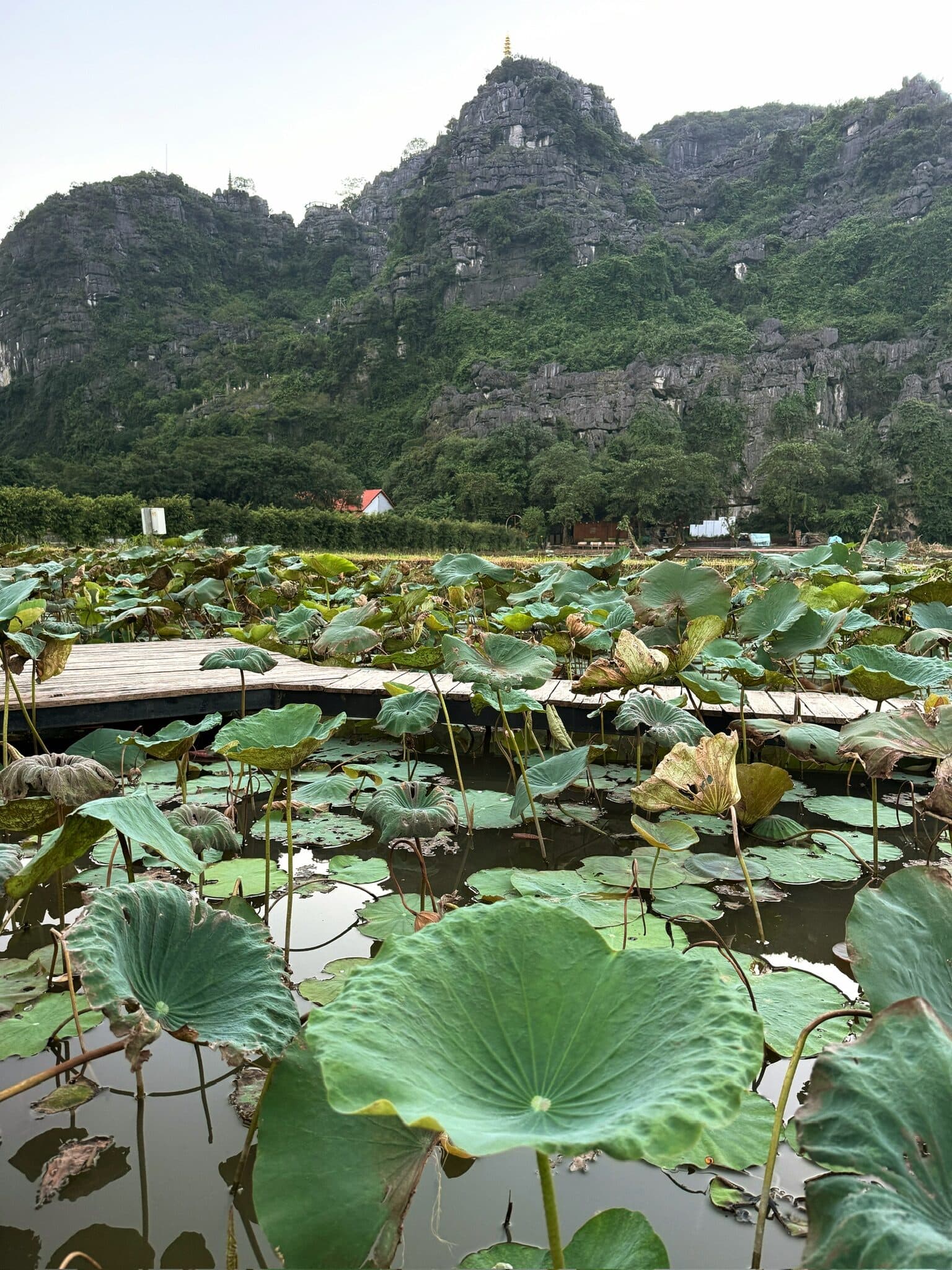 Ninh Binh, Vietnam