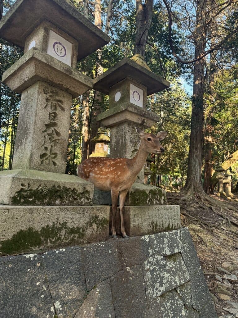 Osaka, Japan