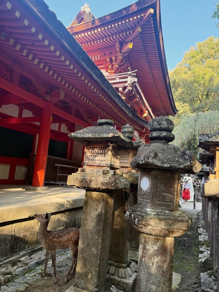 Osaka, Japan