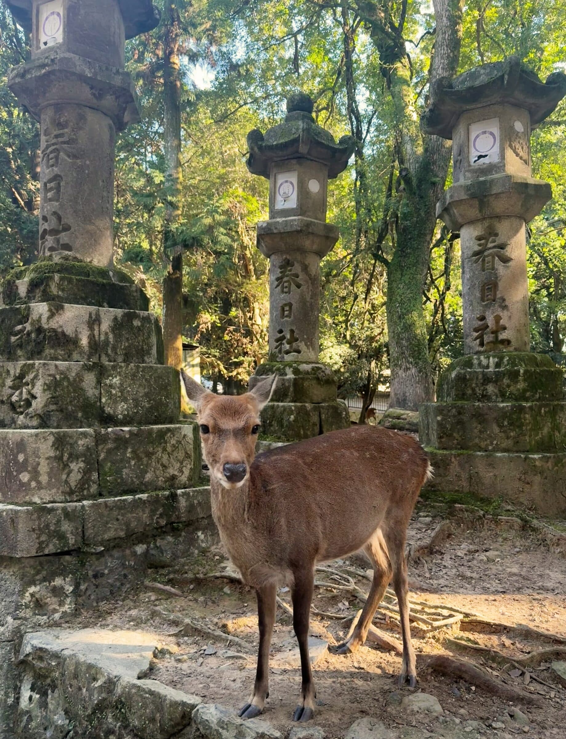 Osaka, Japan