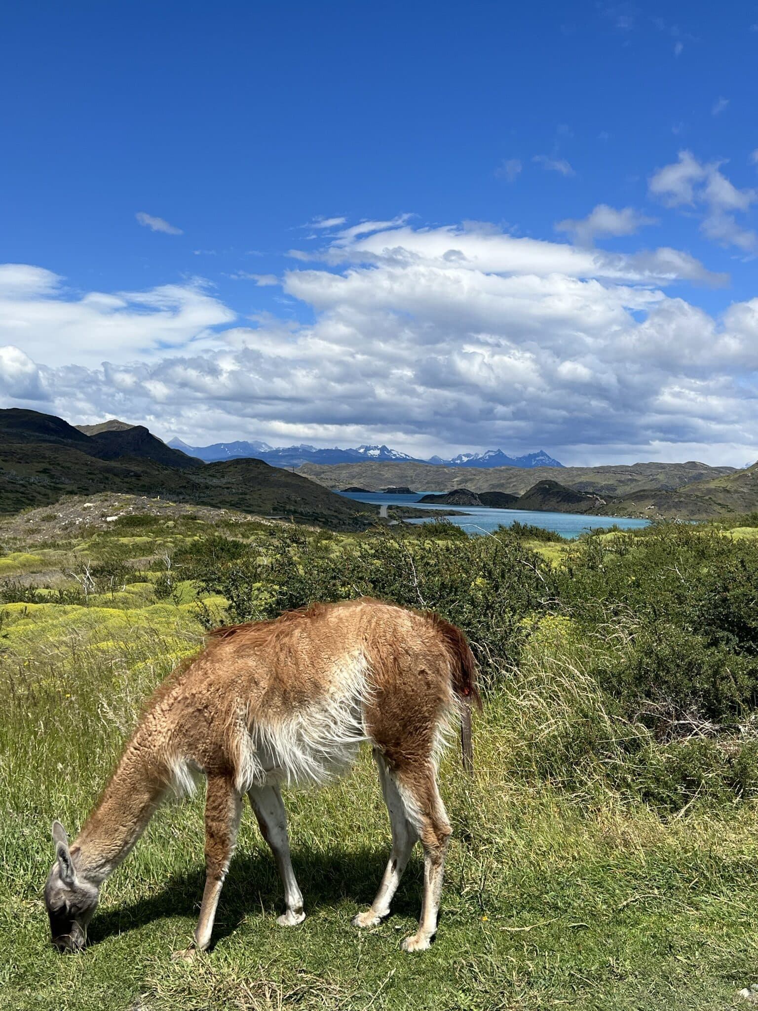 Patagonia, Chile
