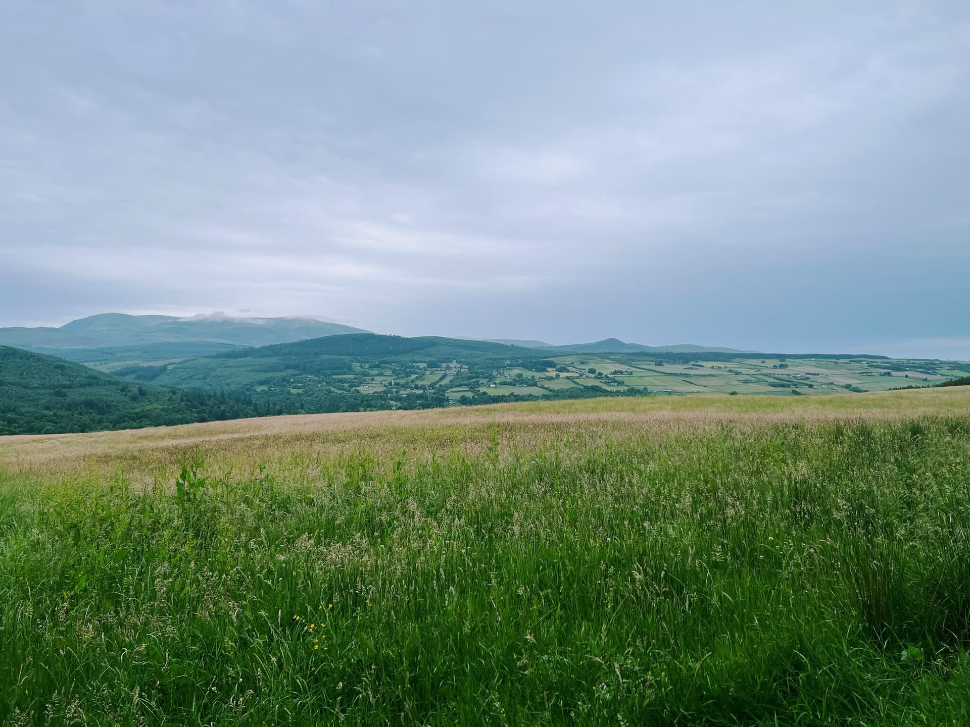 Scotland