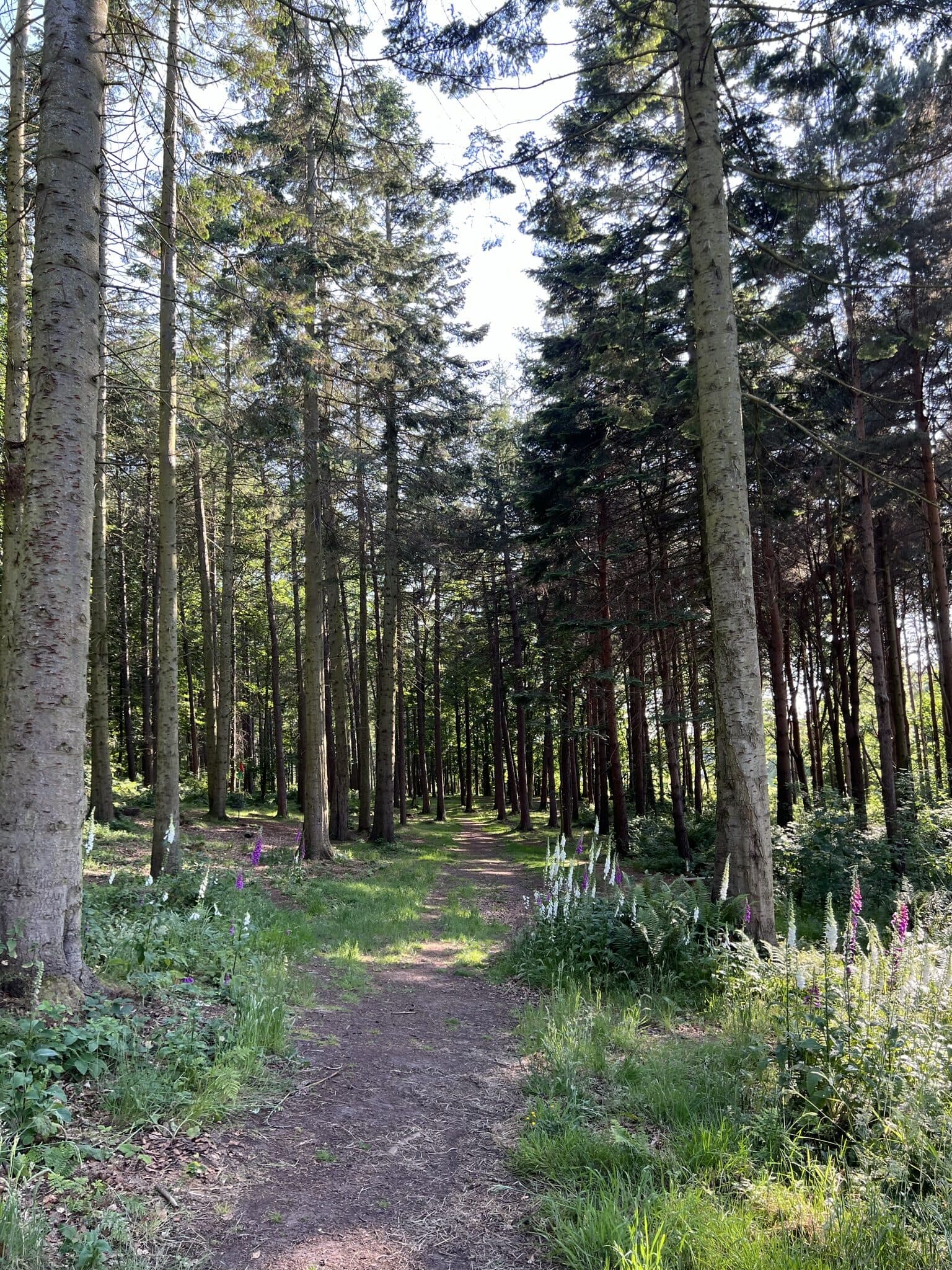 Scotland
