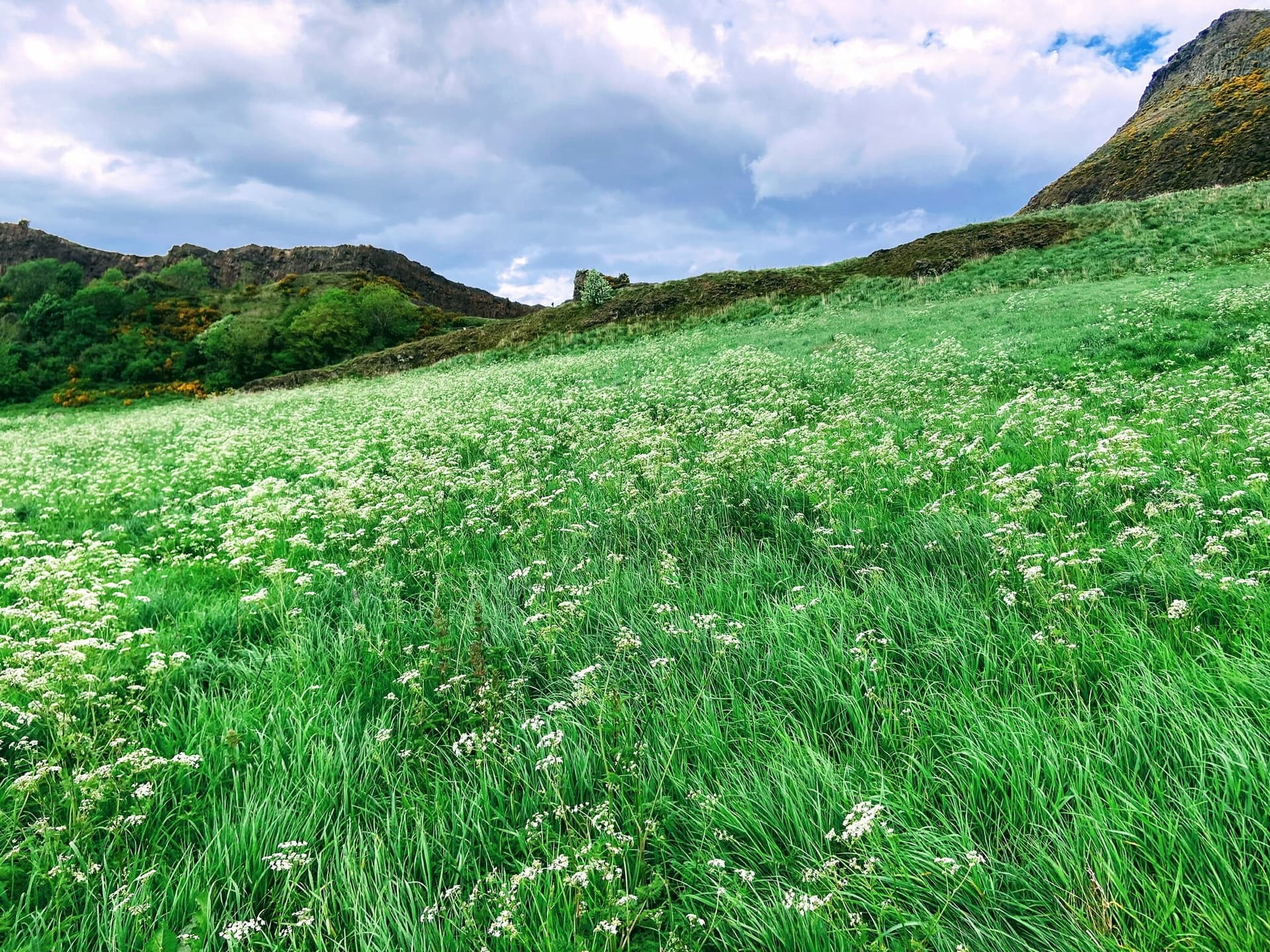Scotland