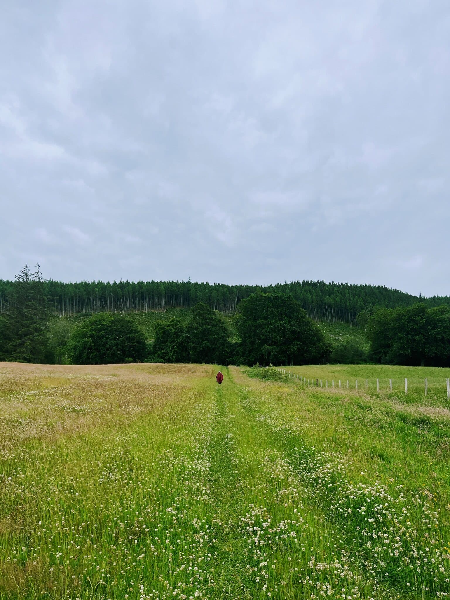 Scotland