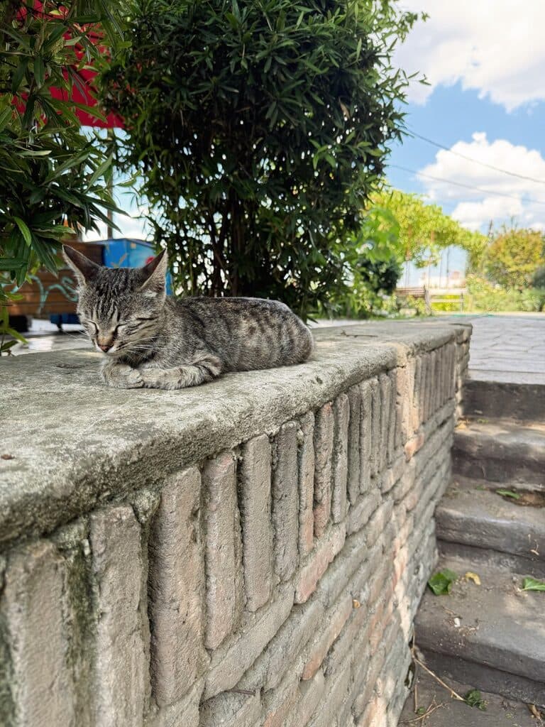 Tbilisi, Georgia