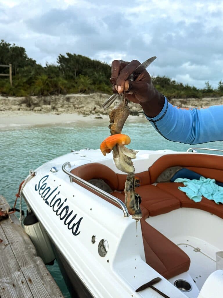 Turks & Caicos