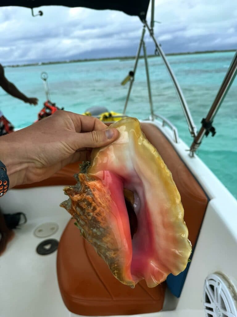 Turks & Caicos