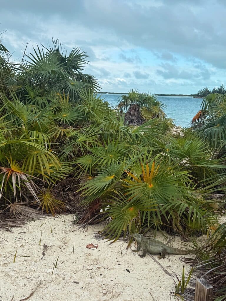 Turks & Caicos