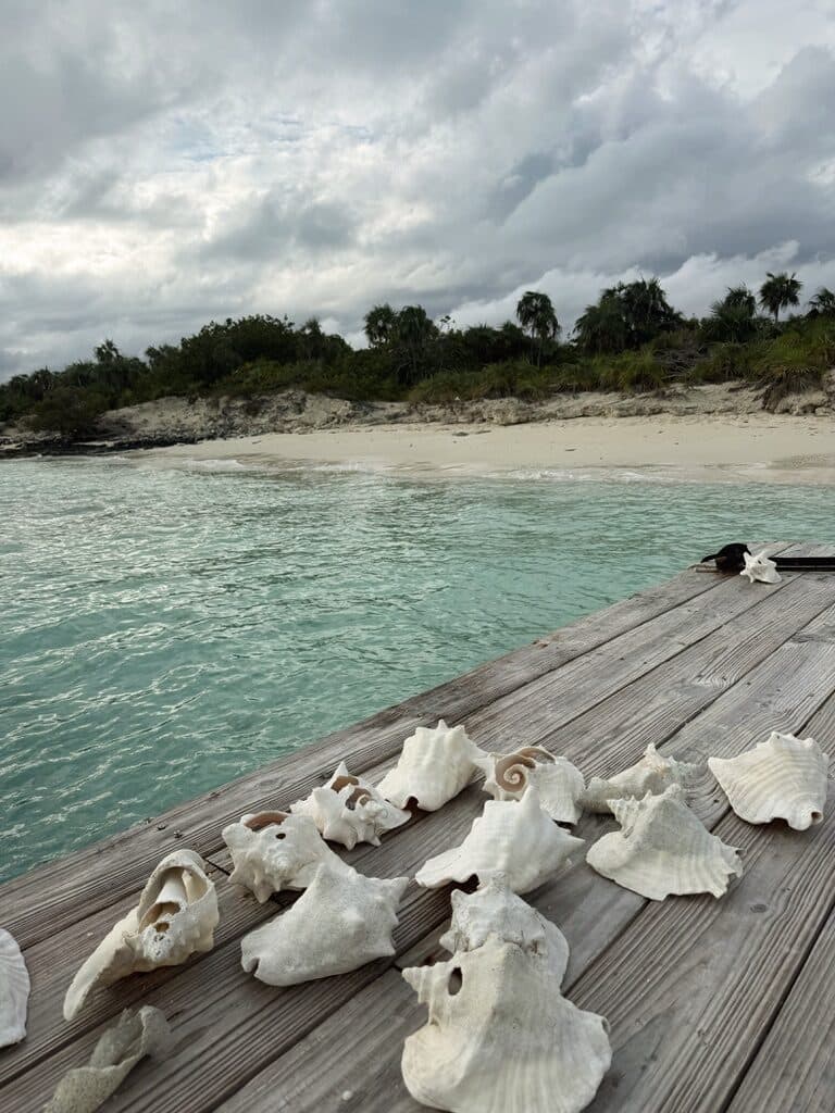 Turks & Caicos
