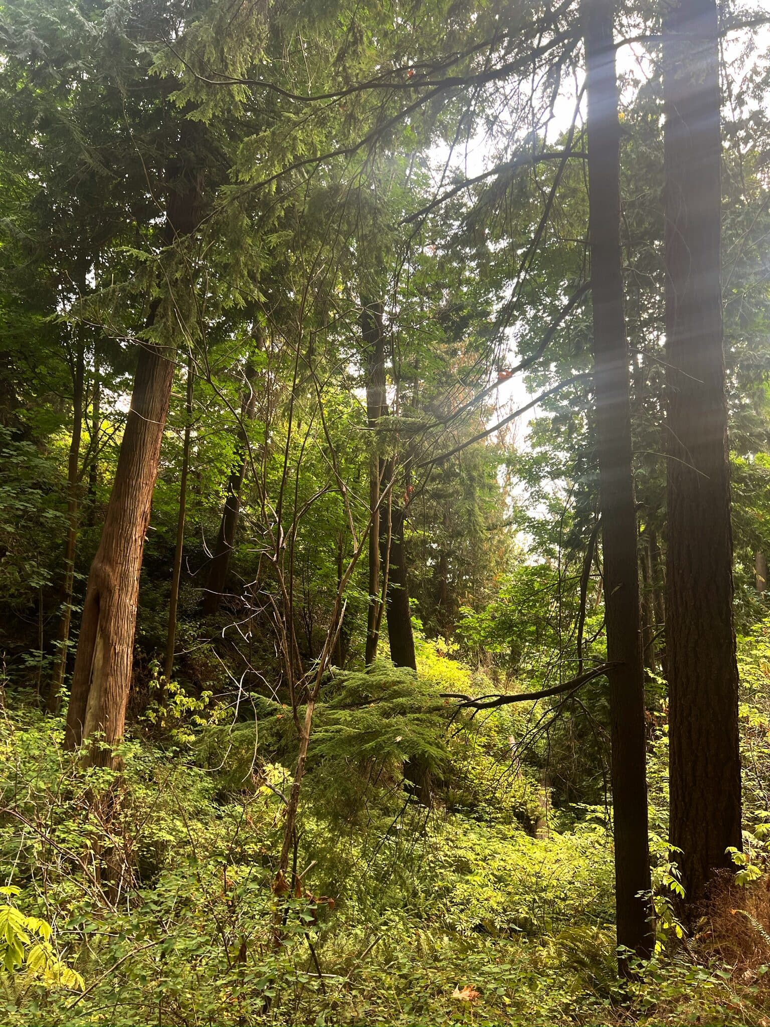 Vancouver, Canada